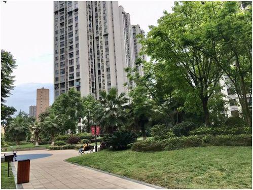 乐山瓜贩小区今日新闻,瓜贩纠纷引关注，社区紧急介入调解