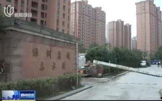 乐山瓜贩小区今日新闻,瓜贩纠纷引关注，社区紧急介入调解