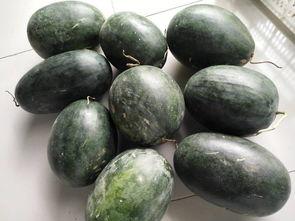 黑神话弥勒吃瓜,弥勒吃瓜，揭秘游戏中的神秘传说