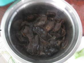 蒲瓜烧起来黑的可以吃吗,揭秘其安全性