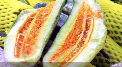 新瓜热门,揭秘网络热点的背后真相