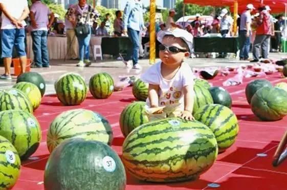 今日大瓜 每日大赛往期