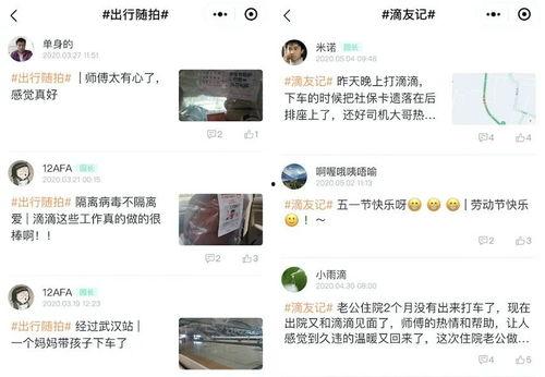 热门瓜的社会影响力,揭秘社会影响力背后的秘密与现象