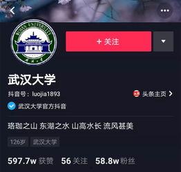 热门瓜的社会影响力,揭秘社会影响力背后的秘密与现象