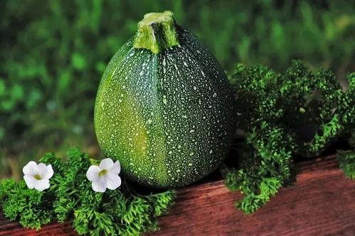 北瓜红瓜和黑瓜一起吃