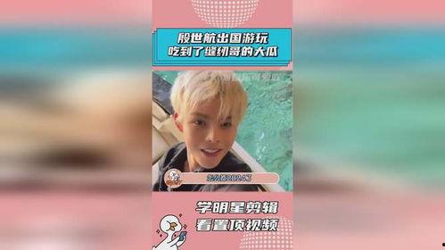 2024热门吃瓜,娱乐圈风云再起，揭秘幕后真相