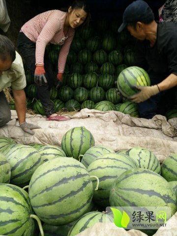 近期热门吃瓜事件郴州,揭秘近期热门吃瓜事件背后的真相