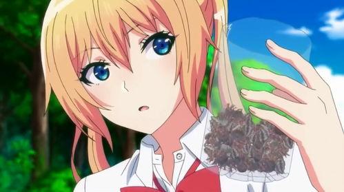 吃瓜少女魏淑芬黑梨,揭秘吃瓜少女的瓜田传奇