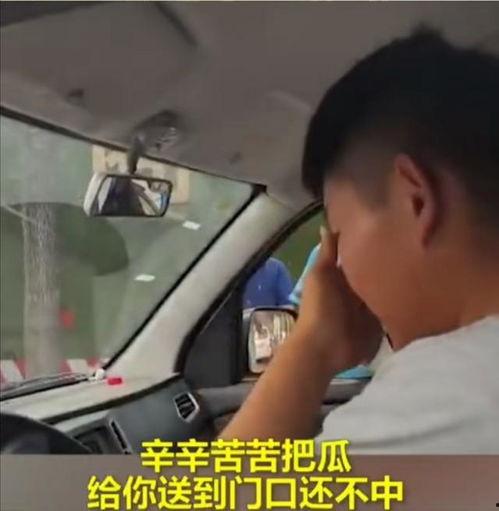 河南小伙卖瓜今日头条,今日头条见证瓜农的奋斗与梦想