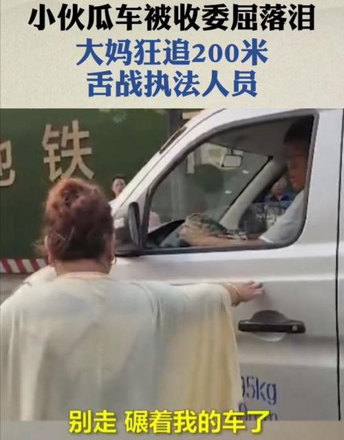 河南小伙卖瓜今日头条,今日头条见证瓜农的奋斗与梦想