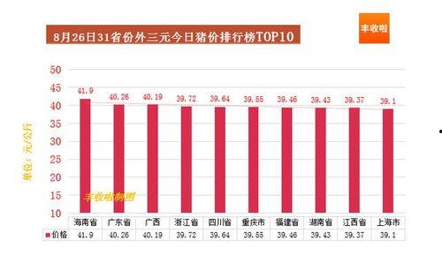 香港瓜哥今日预测分析图,今日市场动态深度解读