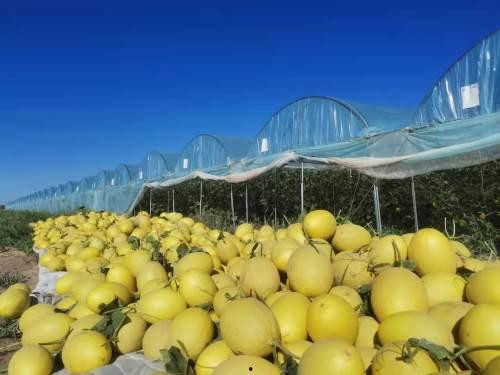 今日瓜州最新消息,聚焦今日热点事件概览