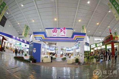 曲靖茭瓜厂今日视频回放,揭秘茭瓜种植全过程