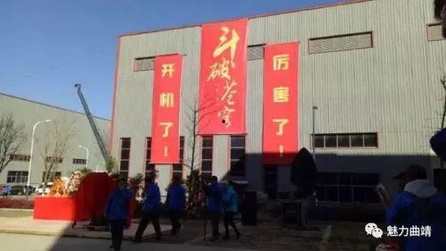 曲靖茭瓜厂今日视频回放,揭秘茭瓜种植全过程