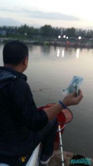 钓鱼明星网红有哪些,揭秘网络红人的魅力与影响力