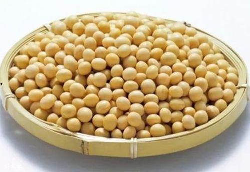 黑料吃瓜入口大豆,揭秘大豆背后的惊人真相