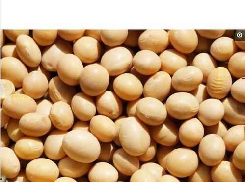 黑料吃瓜入口大豆,揭秘大豆背后的惊人真相