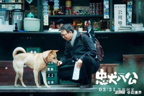 娱乐吃瓜酱忠犬琪哥